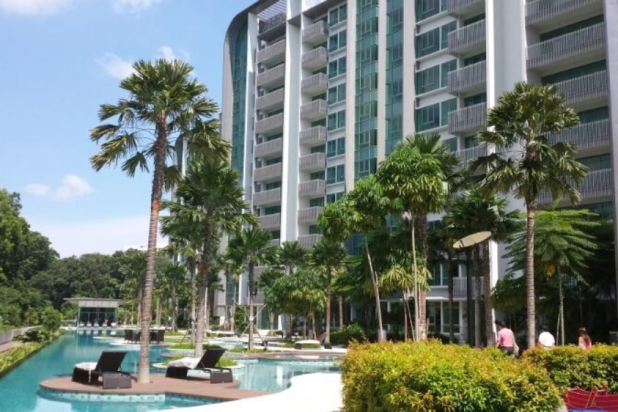 Loving Bird Boarder @ Clementi Condo