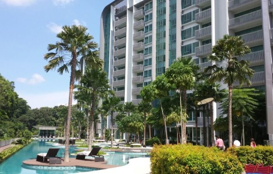 Loving Bird Boarder @ Clementi Condo