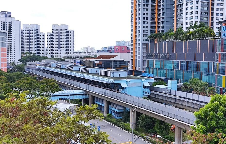 Loving Bird Boarder @ Clementi Condo