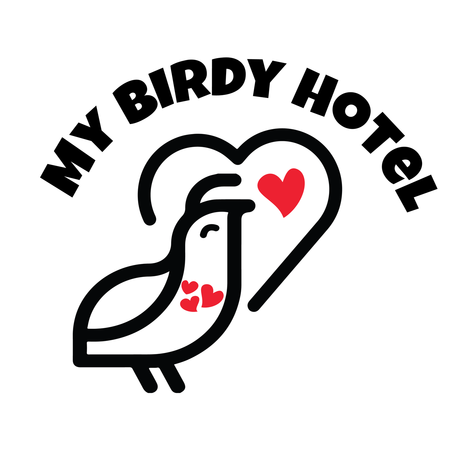 Bird Boarding | Bird Hotel | Quail Boarding | Parrot Boarding | Bird Sitter